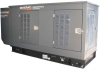 Газовый генератор Generac SG36/PG32 в кожухе с АВР