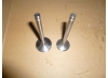 Клапан выпускной TDQ 30 4L/Exhaust valve