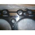 Прокладка головки блока цилиндров TDS 155 6LTE/Cylinder head gasket