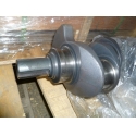 Вал коленчатый TDL 36 4L/Cranrshaft Assy