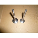 Клапан выпускной TDQ 30 4L/Exhaust valve