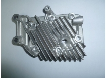 Головка блока цилиндров LF152F/Cylinder head