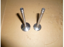 Клапан выпускной TDQ 30 4L/Exhaust valve